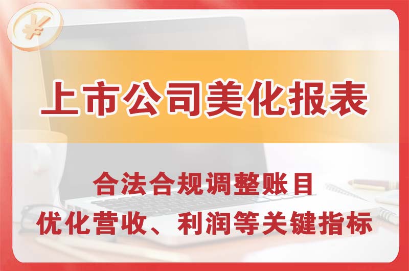 文登上市公司美化报表